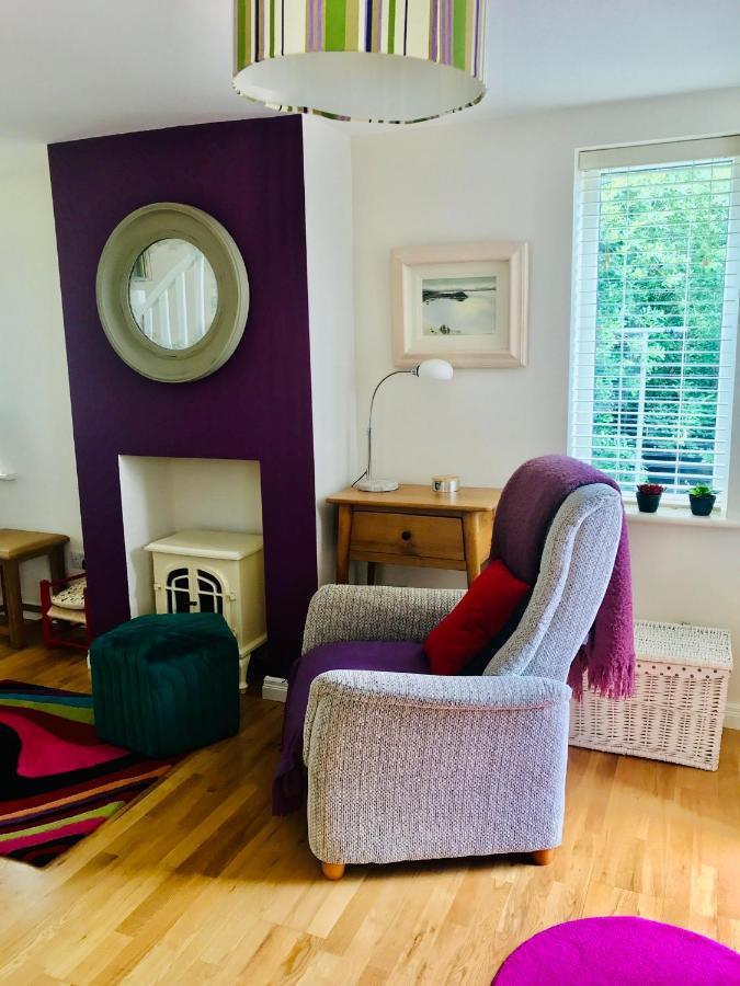 Red Deer Cosy Apartment In Letterfrack Connemara Exteriér fotografie